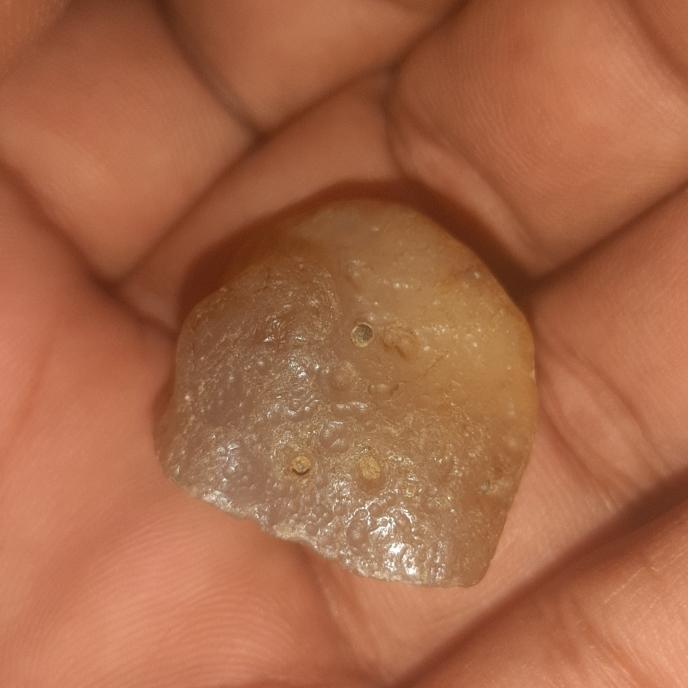 batu mustika dlm petut ikan
