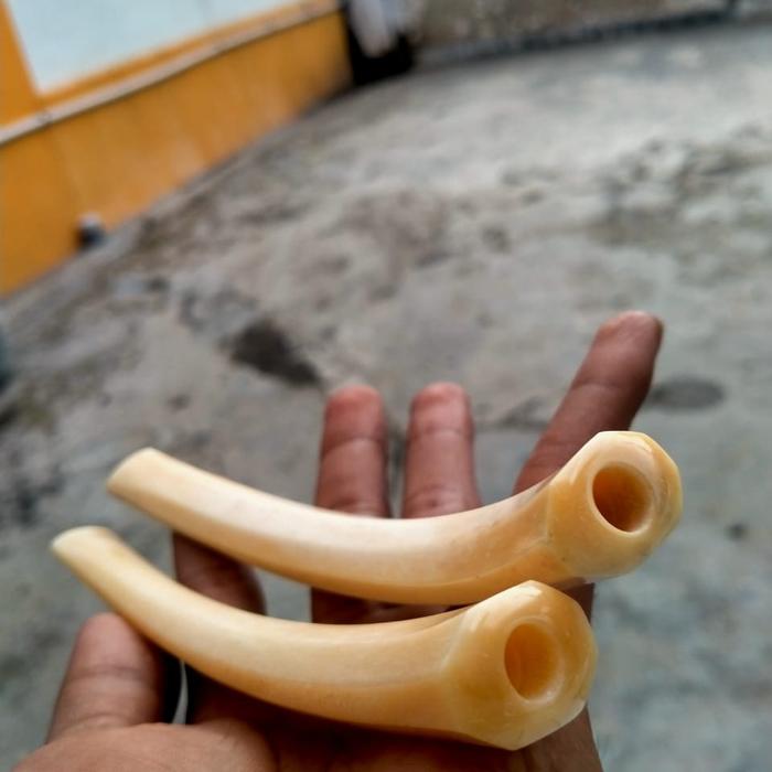 pipa tulang iga duyung super