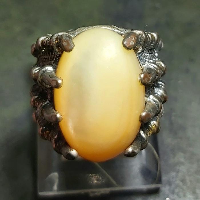 Abalone Shell