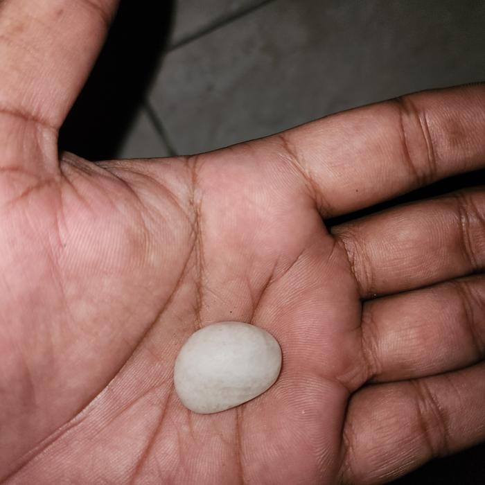 warisan mbah batu mustika ikan top unik langka jos
