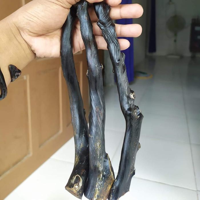 BAHAN GELANG POHON AKAR BAHAR SUPER JUMBO PANJANG PADAT BERURAT