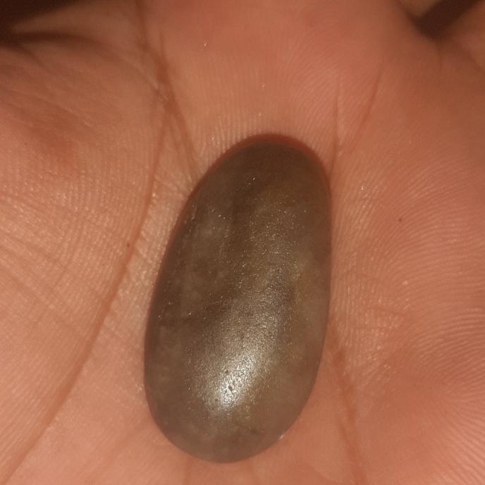 batu mustika ikan top langka josss