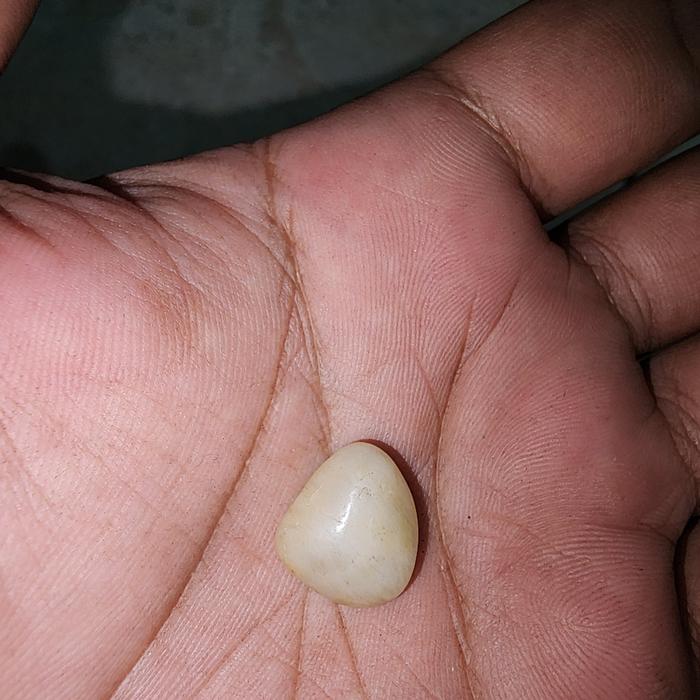 batu mustika ikan antik unik