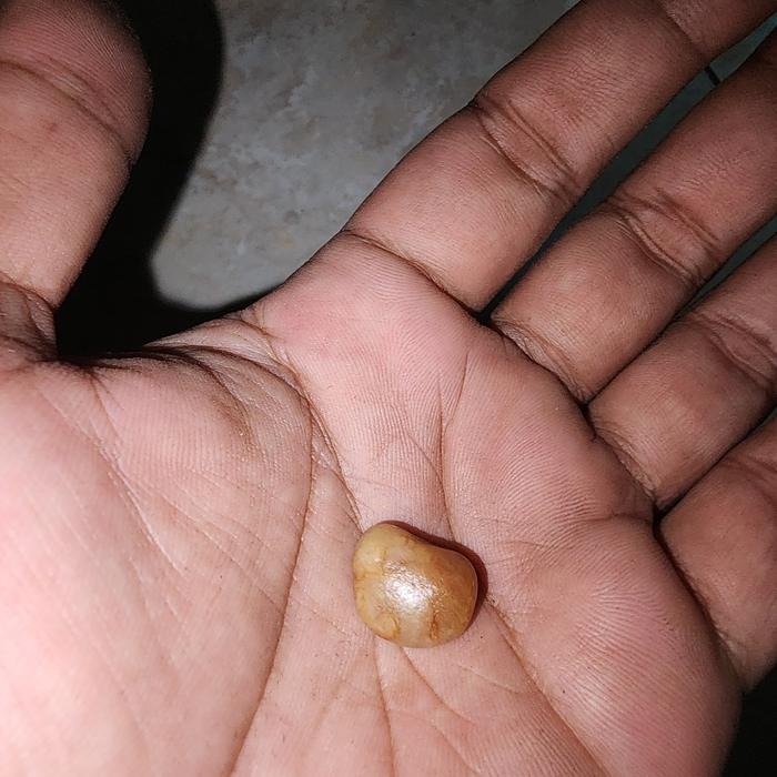 batu mustika warisan mbah mustika rja ikan langka