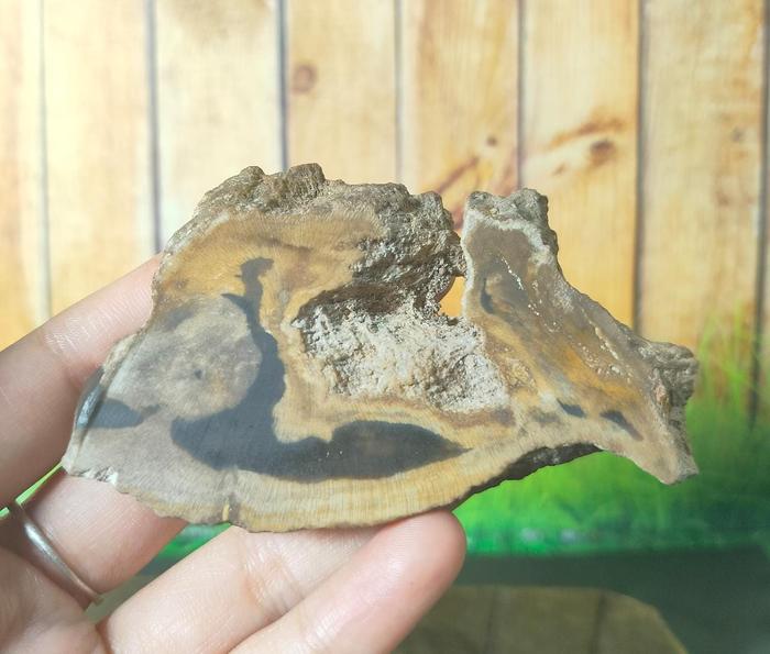 Natural Slice Agate Unpolish (3)