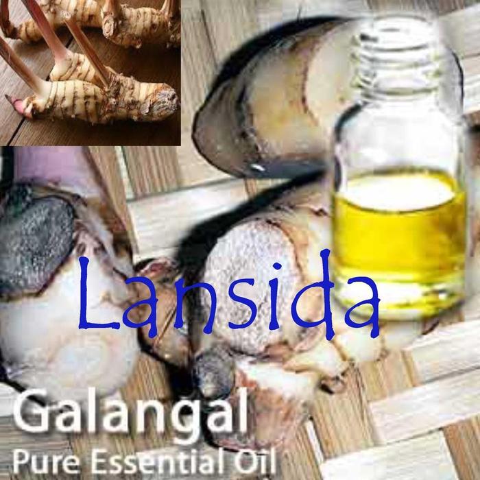 Galangal Essential Oil Minyak Atsiri Murni Lengkuas Putih Alpinia