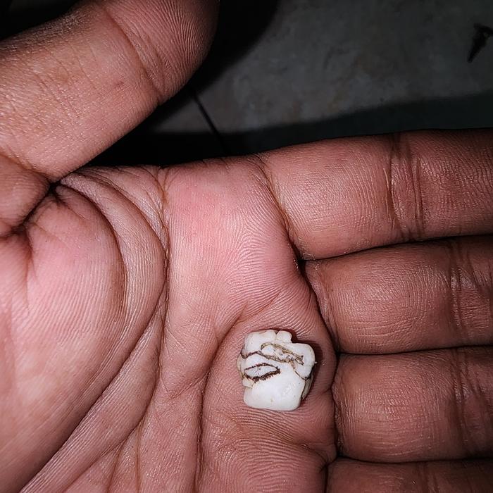 peninggalan mbah batu mustika kelor putih