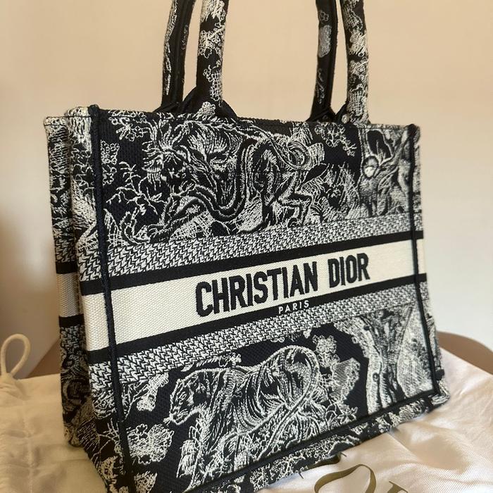 SMALL DIOR BOOK TOTE Blue and White Toile de Jouy Reverse Embroidery
