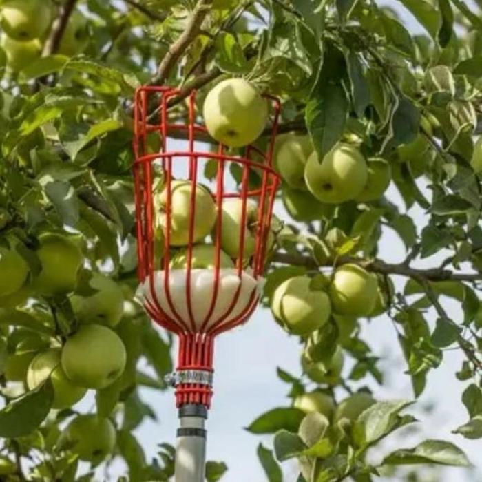 Galah Max 5 Meter Panjang Pendek Bisa Disesuaikan Untuk Ambil Buah Di