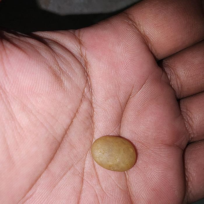 batu mustika dlm perut ikan mas langka antik jos unik