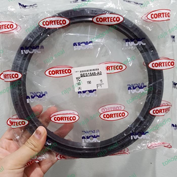 OIL SEAL TC 160 190 15 . TC 160 X 190 X 15 JEPANG NBR