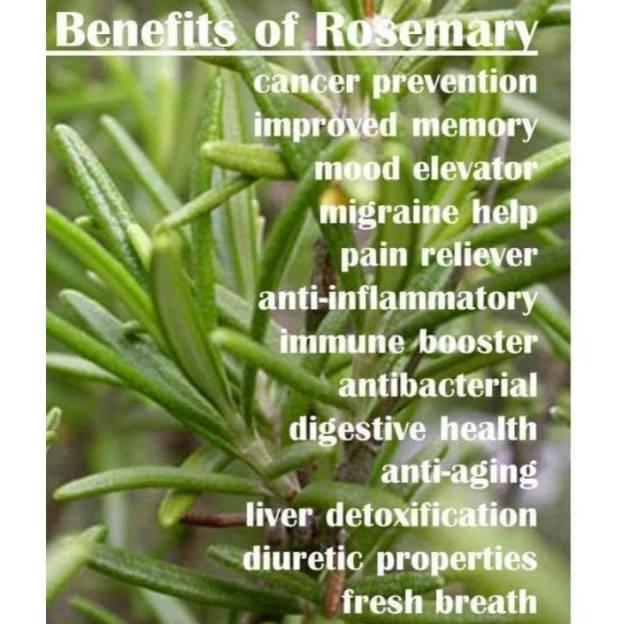Rosemary essential oil 5ml