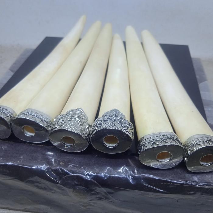 pipa once iga duyung model t4ring