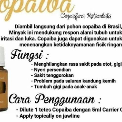 copaiba essential Oil untuk radang, sariawan, sakit gigi