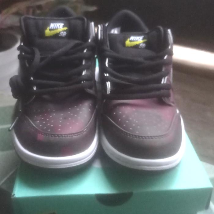 Sepatu Nike SB Dunk Civilist