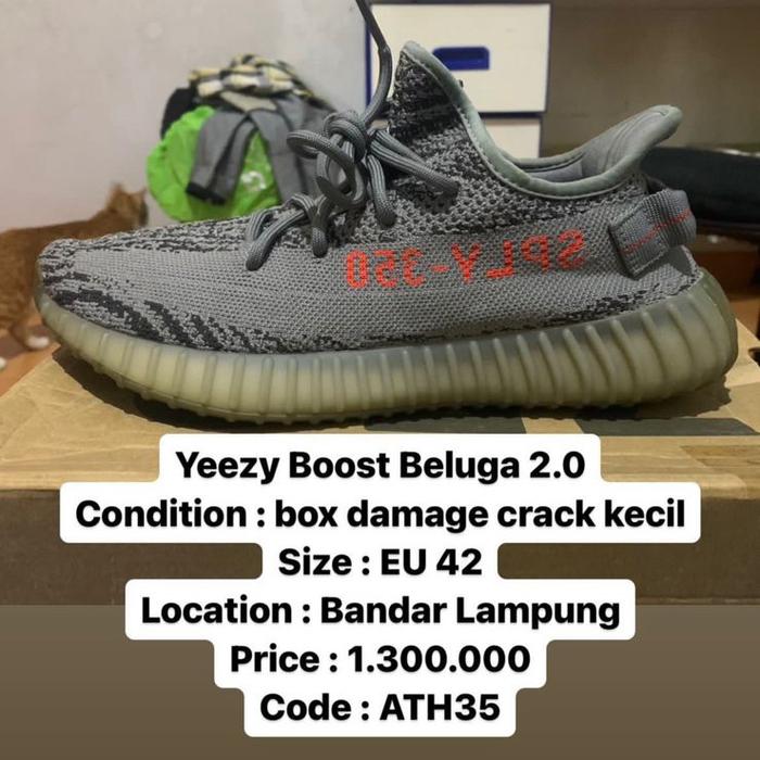 Yeezy boost beluga