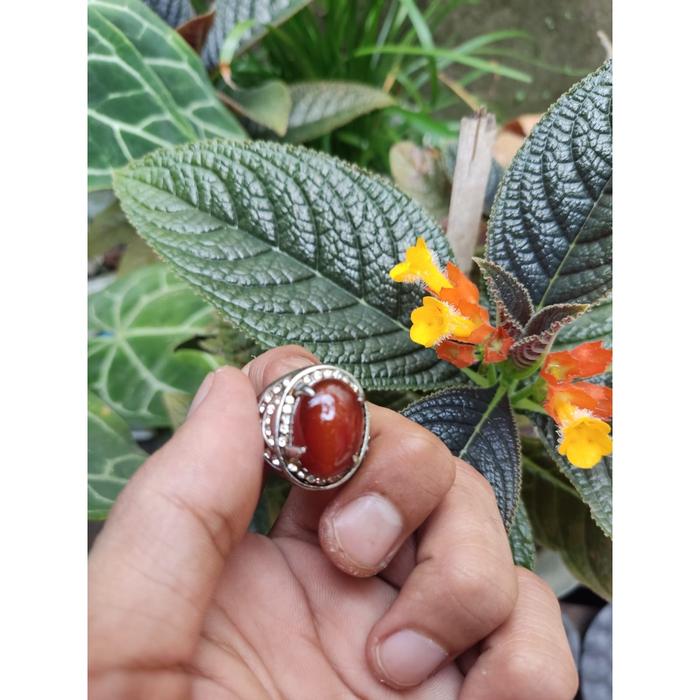 Cincin Mahaguru Sejati