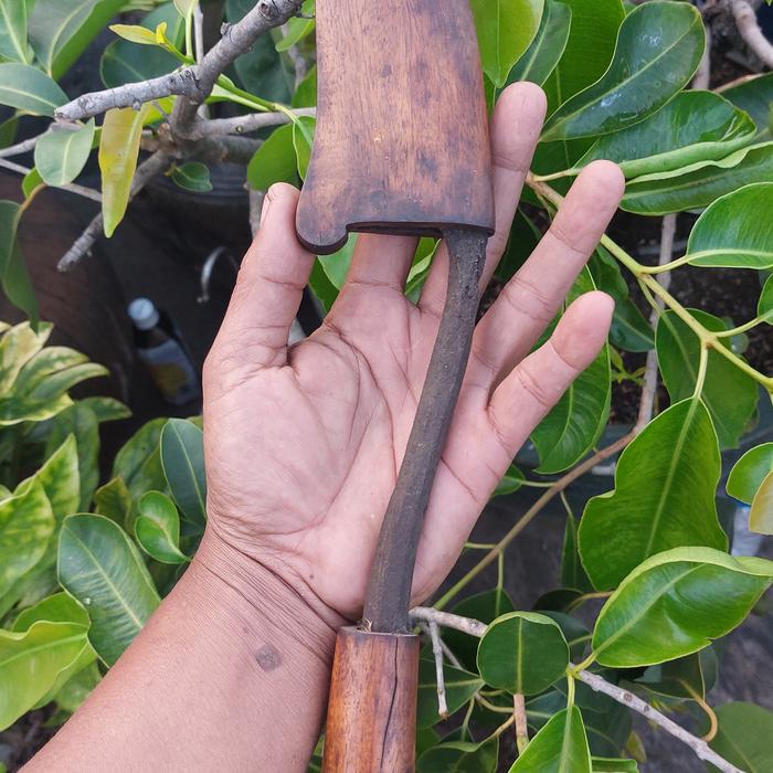 tombak sepuh Nanggolo  singosari