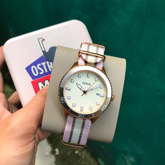 Fossil BQ3630 Daylee Three Hand Date Two Tone Nylon Watch