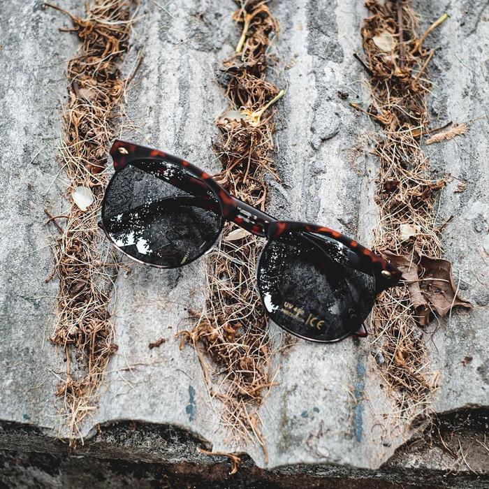 Vans Sunglasses Wayde Tortoise