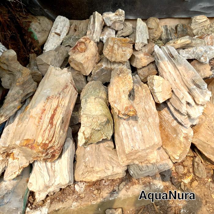 batu fosil kayu jumbo suiseki biseki kolam taman aquarium