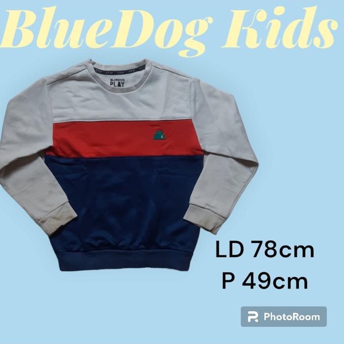 Crewneck Bluedog anak