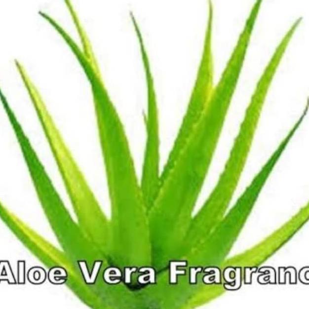 Fragrance oil Aloe Vera