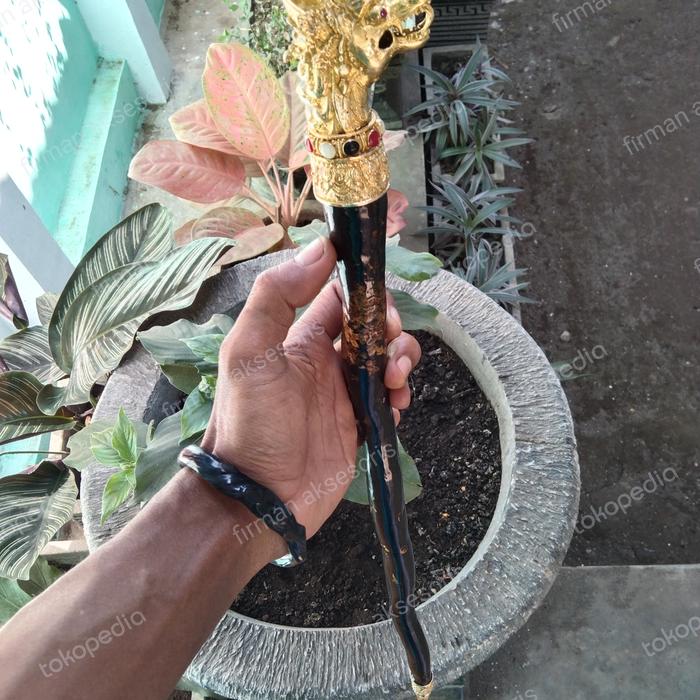 tongkat komando akar bahar alpaka naga bali