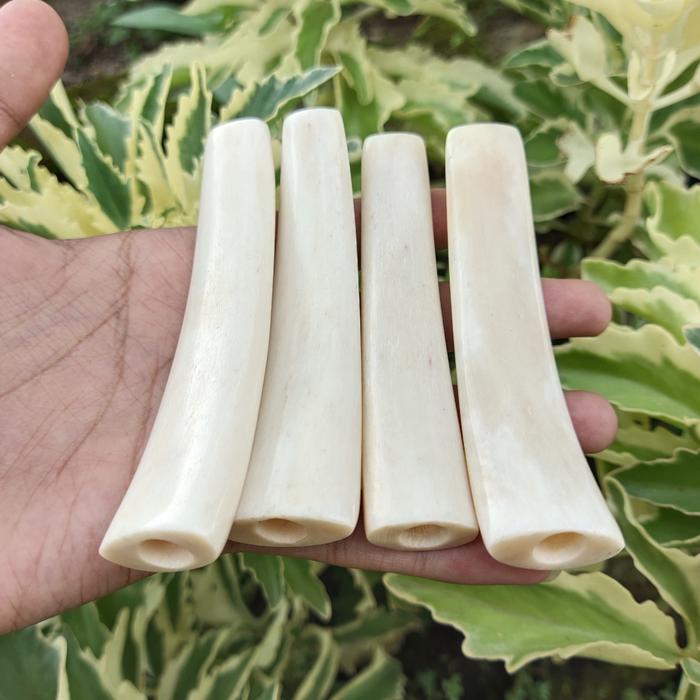 Once iga duyung  melengkung 10cm