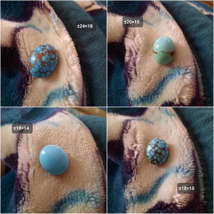 [ASLI MESIR] Pirus Mesir