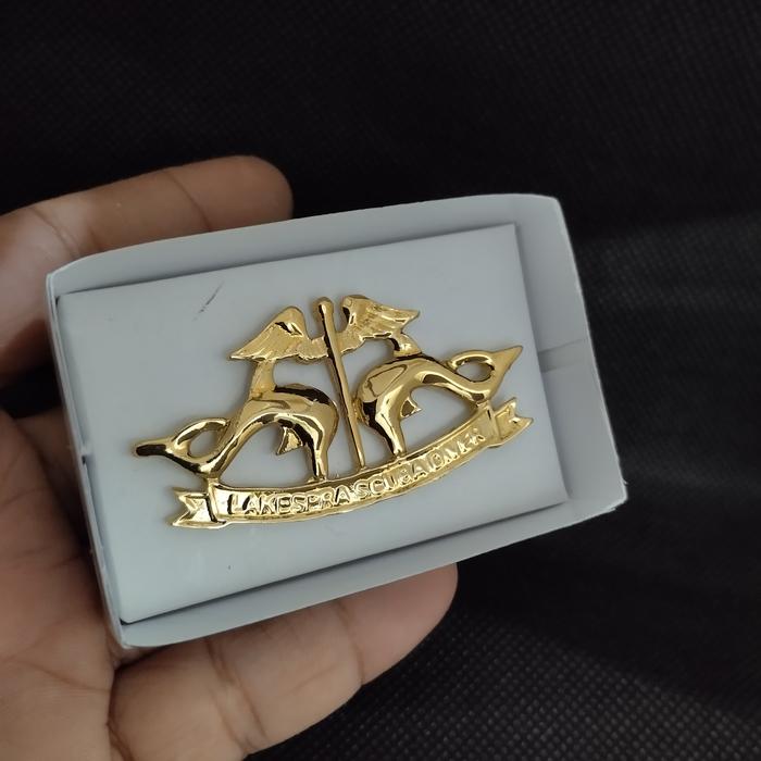 brevet wing lakespra scuba diver