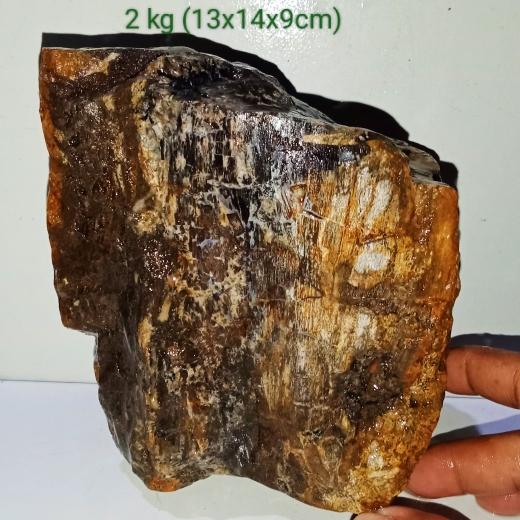 2 kg batu akik bahan galih kelor serat emas (475)