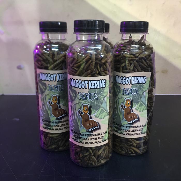 Maggot Kering Denita