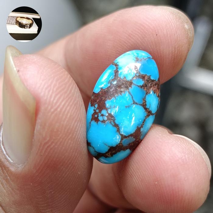 natural pirus mesir bagus