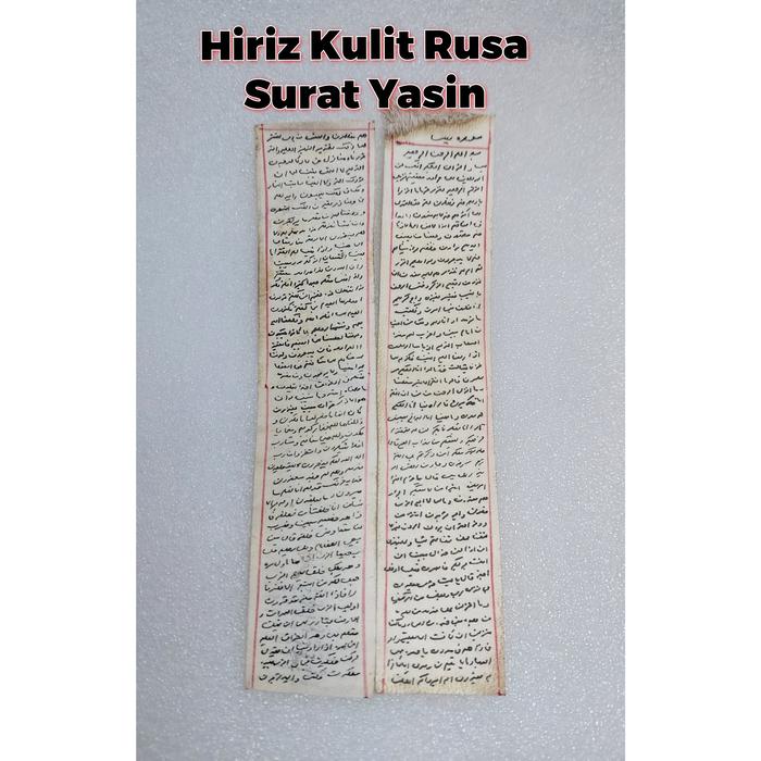 Khiriz / Hiriz Kulit Rusa Surat Yasin Asli Dari Iran
