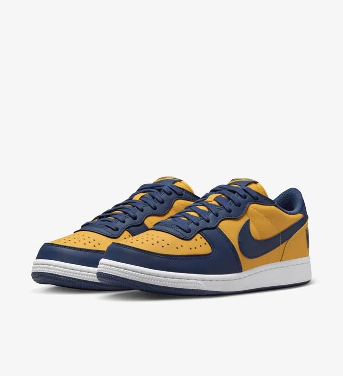 NIKE LOW TERMINATOR MICHIGAN ( 100% Authentic )