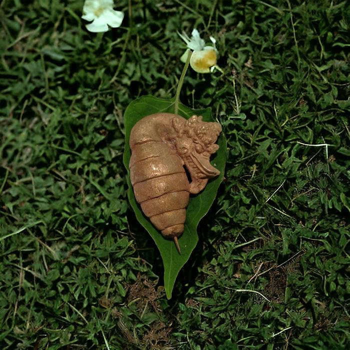 wesi kuning kepompong naga temuan