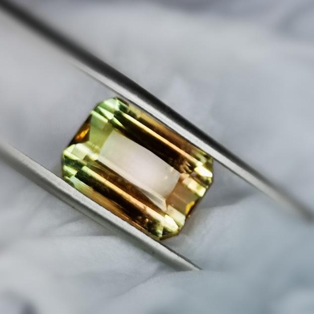 BICOLOR TOURMALINE 8,22ct