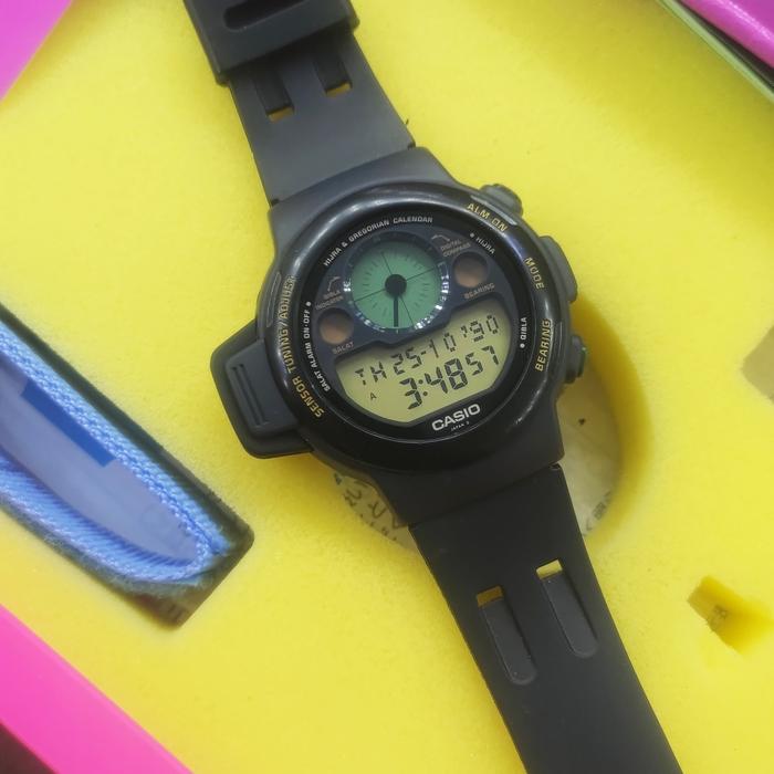 casio cpw 310 mulus