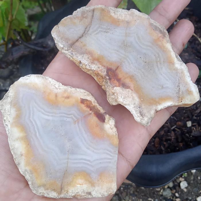 2 pcs Batu Cimpago motif Sulaiman - Pesisir Selatan ( Rough / Bahan Batu Akik Sumatera Barat - bukan