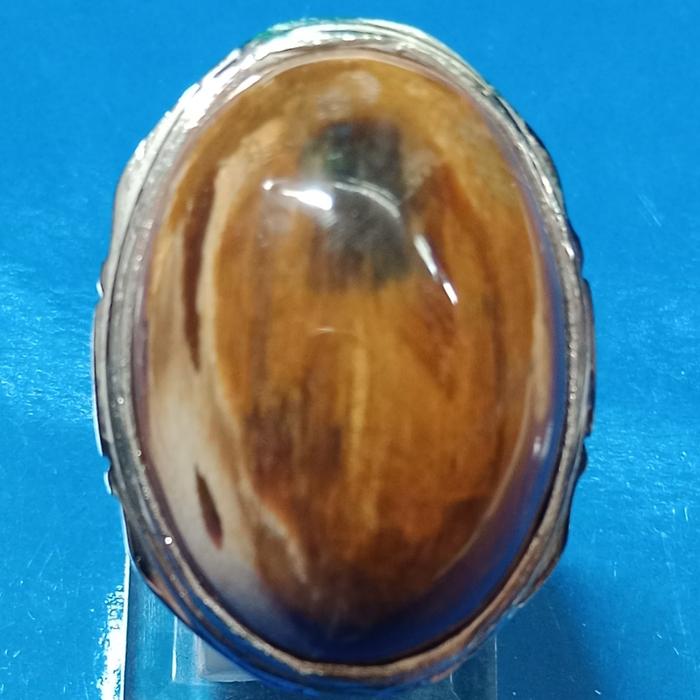 Koleksi Akik Permata Jadul, Akik fossil jati top jos