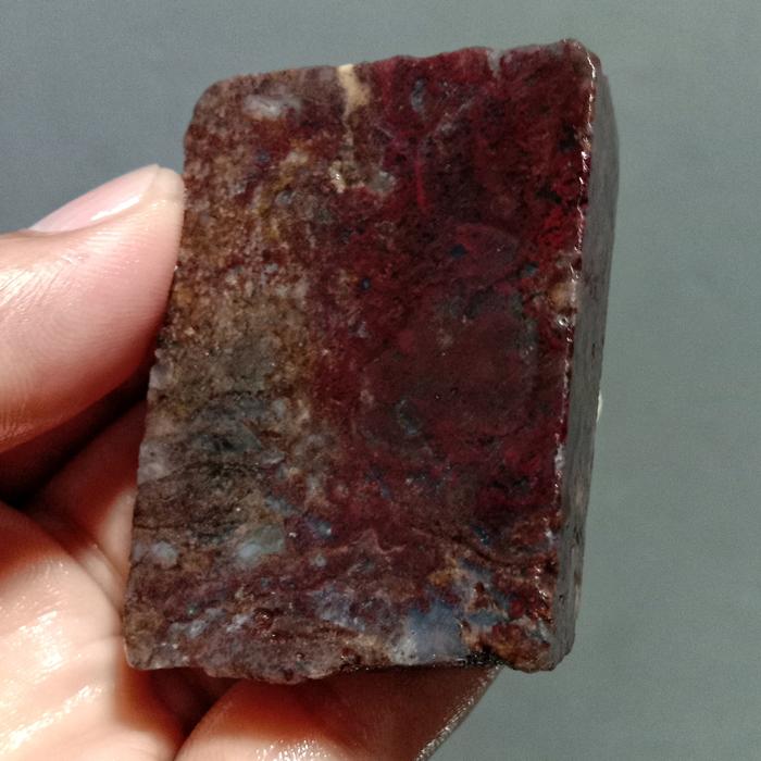 Rough Bahan Lumut Merah Suliki