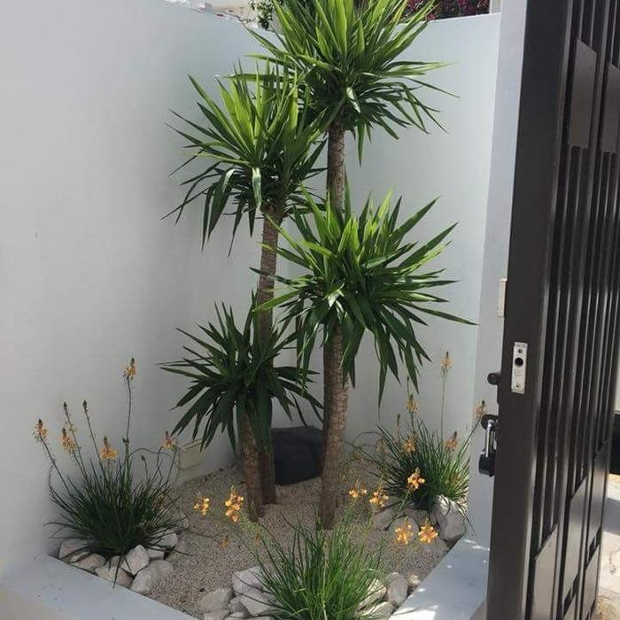 taman kering pandan bali sedap malam batu poral