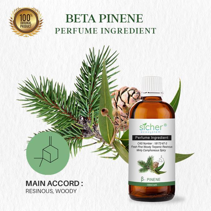 Minyak Aromachology / Essential Natural Beta Pinene