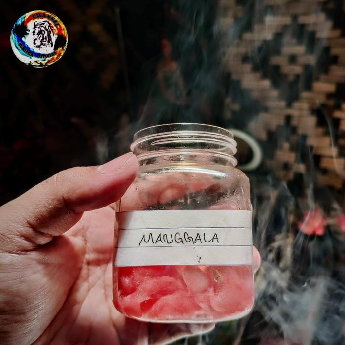 UNTALAN MANGGALA KHAS KALIMANTAN