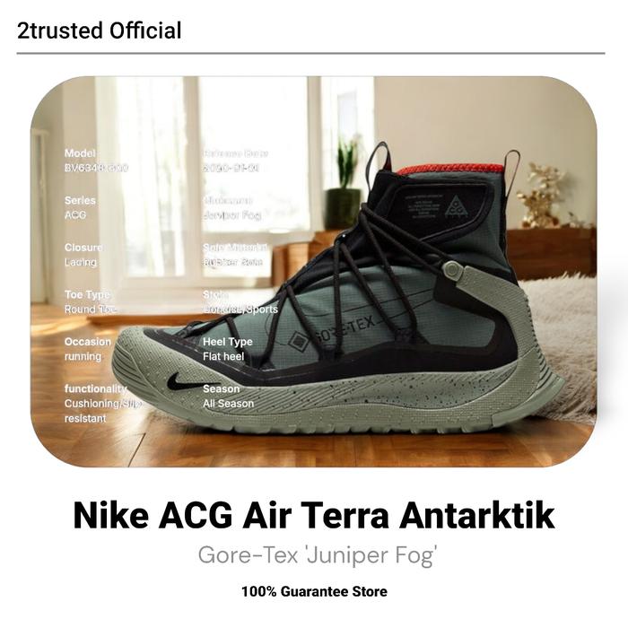 Nike ACG Air Terra Antarktik Gore-Tex 'Juniper Fog'