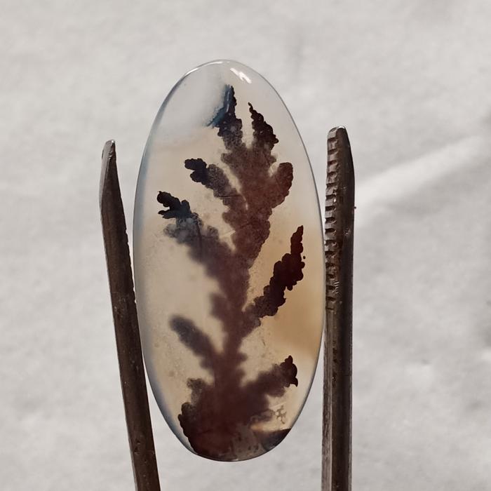 Batu Kristal Gambar Tumbuhan - Dendrite Crystal Chalcedony. Bukan Batu Bacan Doko Majiko Yaman Darah