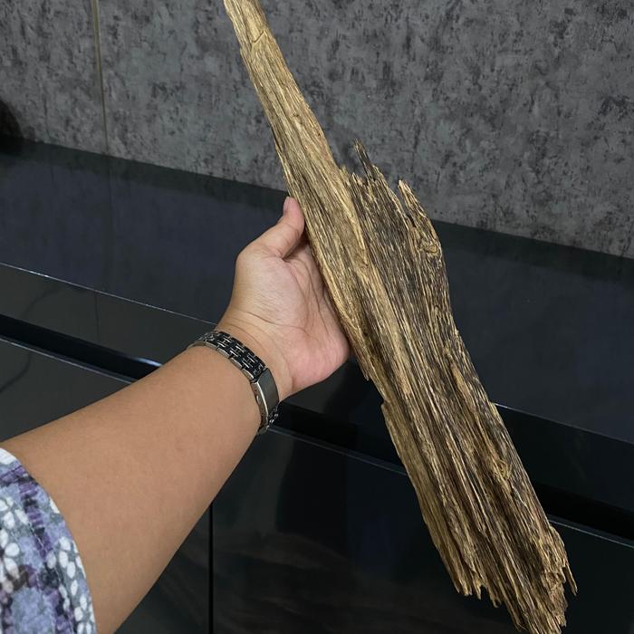 KAYU GAHARU MALINAU SUPER KING