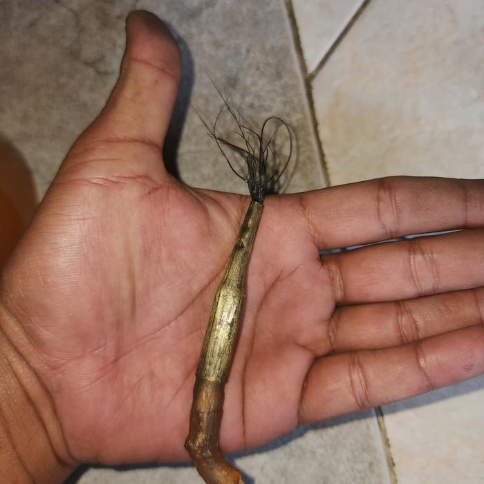 barang kuno antikk langka jimatan unik rjapngasihan josss