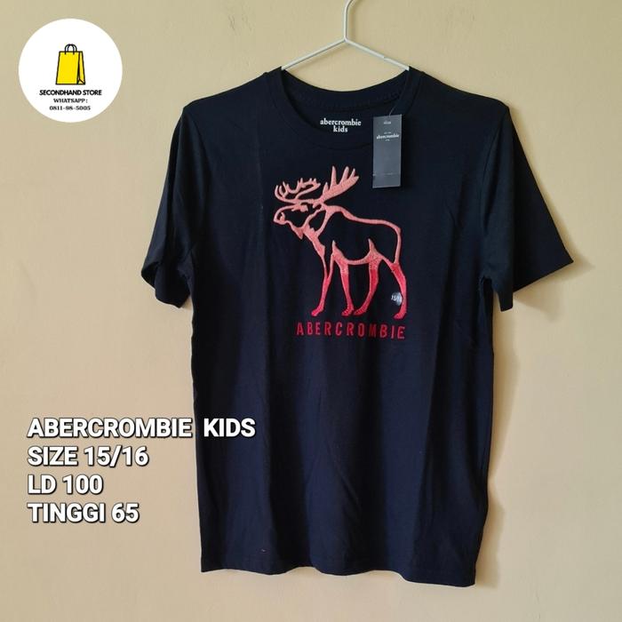 204. (New) ABERCROMBIE & FITCH KIDS Kaos Authentic
